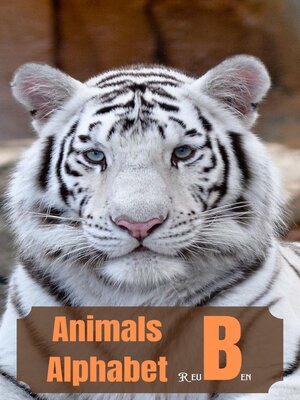 cover image of Animals Alphabet "B"